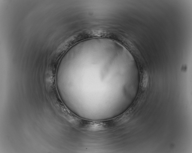 X0000114990569200911091338