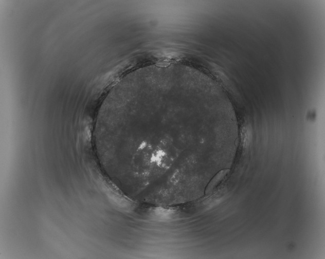 X0000114990570200911091338
