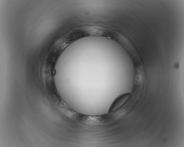 X0000114990573200911091338