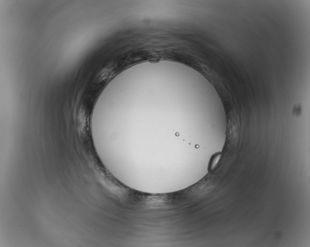 X0000114990574200911091338
