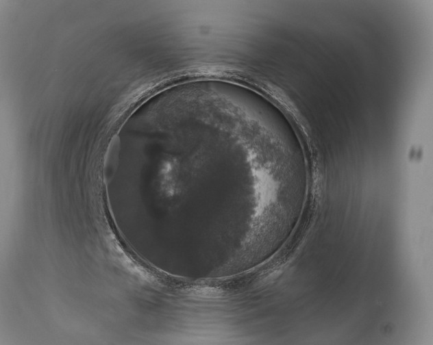 X0000114990577200911091337