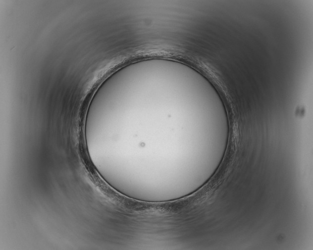 X0000114990578200911091337