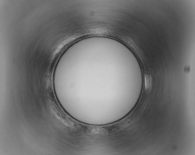 X0000114990579200911091337