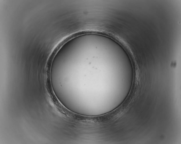 X0000114990580200911091337