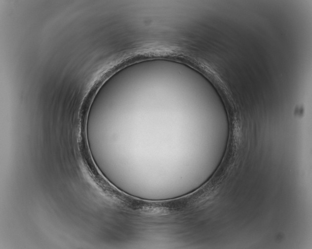 X0000114990582200911091337