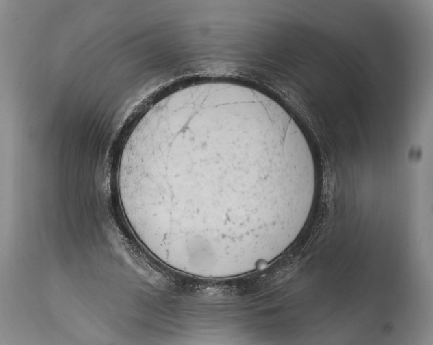 X0000114990584200911091337