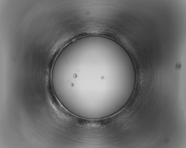 X0000114990586200911091337