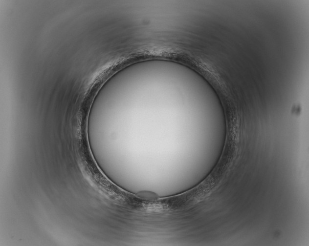 X0000114990587200911091337