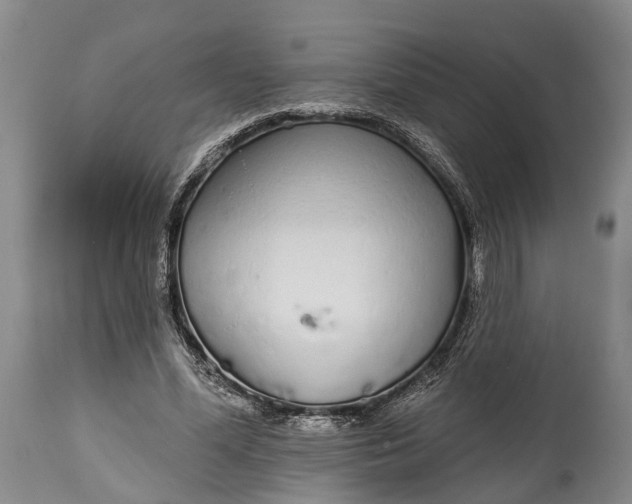 X0000114990588200911091337