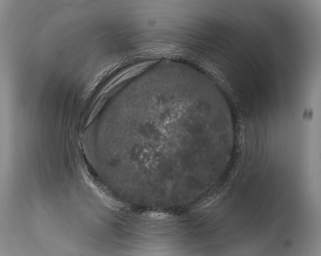X0000114990590200911091337