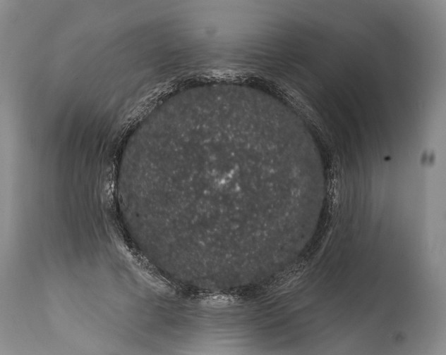 X0000114990593200911091337