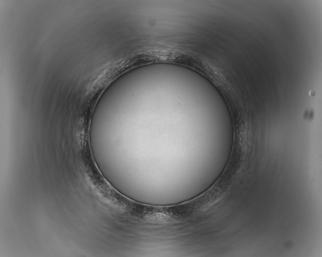 X0000114990594200911091337