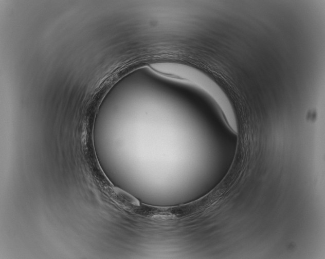 X0000114990595200911091337