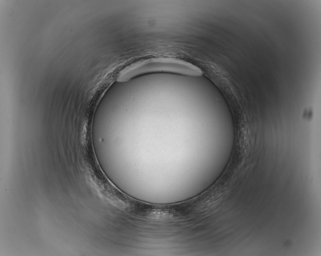 X0000114990596200911091337