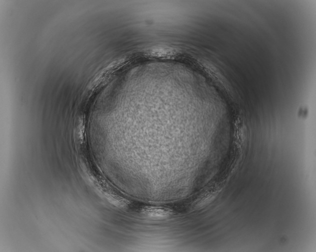 X0000114990597200911091337