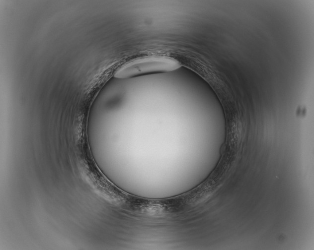 X0000114990600200911091337
