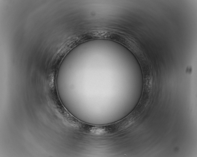 X0000114990602200911091337