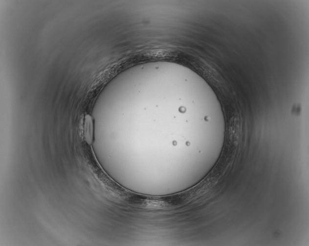 X0000114990605200911091337