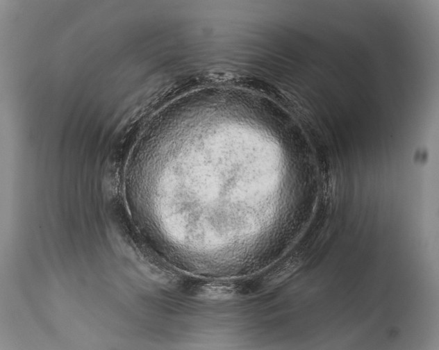 X0000114990606200911091337
