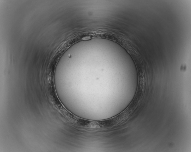 X0000114990608200911091336