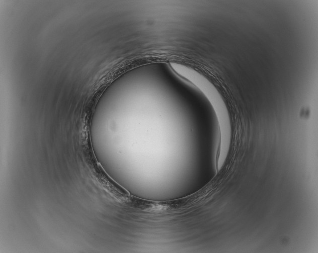 X0000114990609200911091336