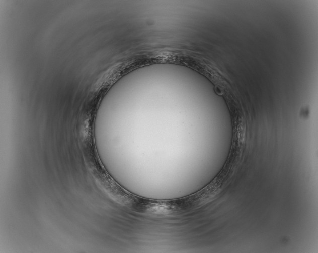 X0000114990611200911091336