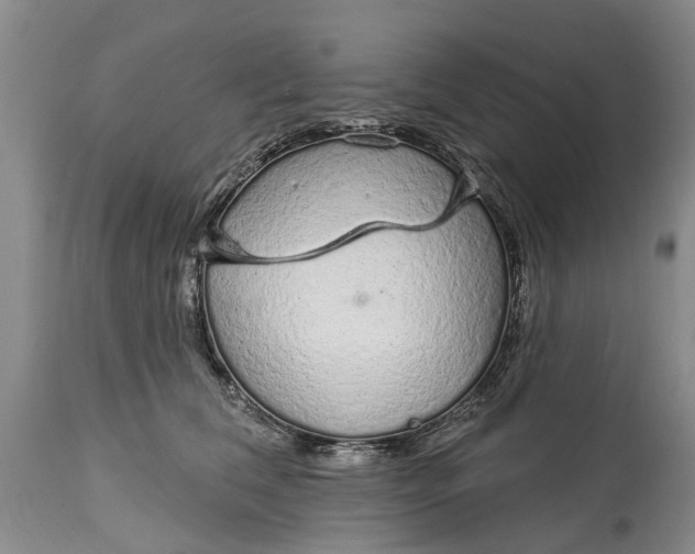 X0000114990612200911091336
