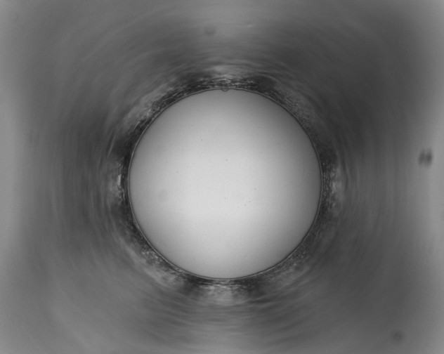 X0000114990615200911091336