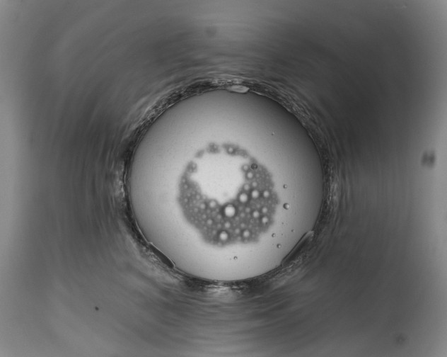 X0000114990616200911091336