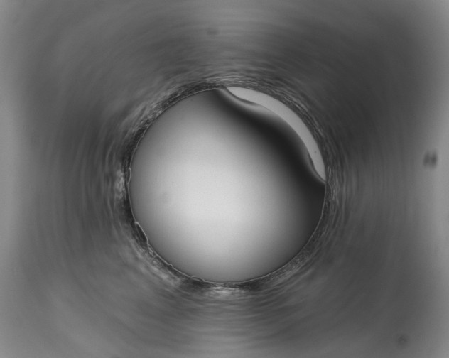 X0000114990617200911091336