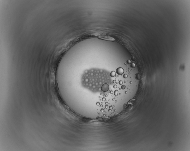 X0000114990620200911091336