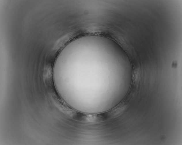 X0000114990623200911091336