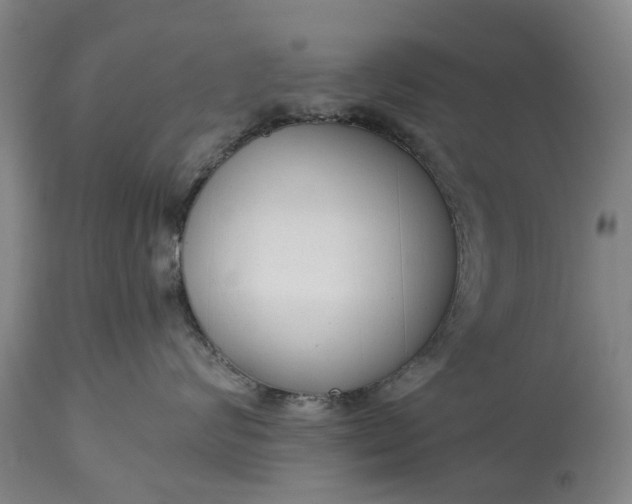 X0000114990624200911091336