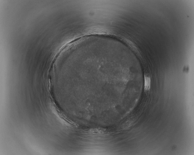 X0000114990627200911091335