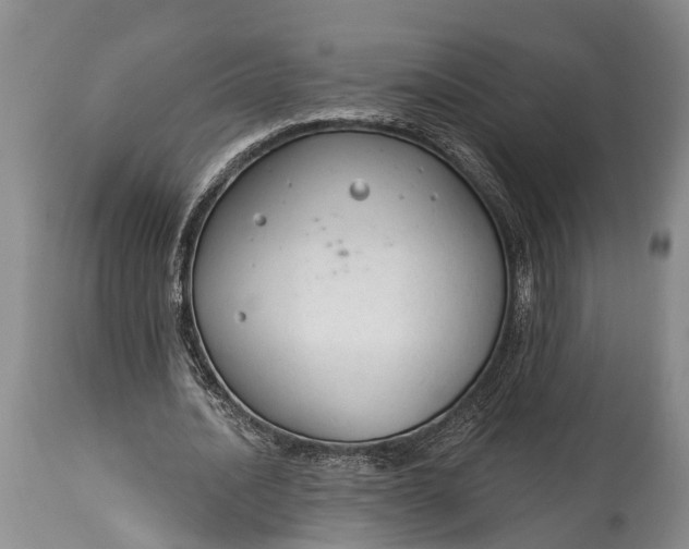 X0000114990628200911091335