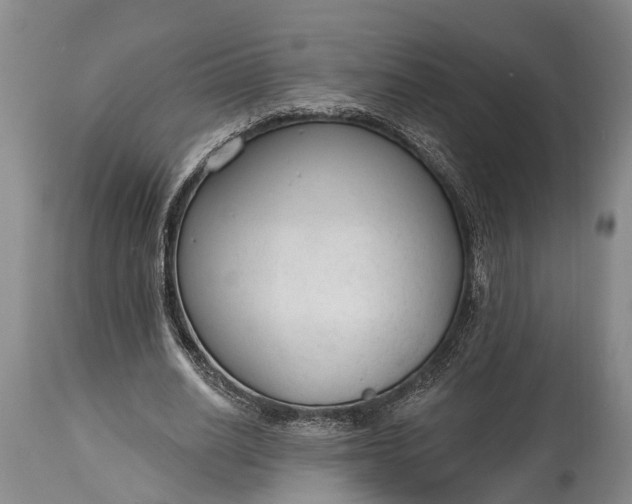 X0000114990630200911091336