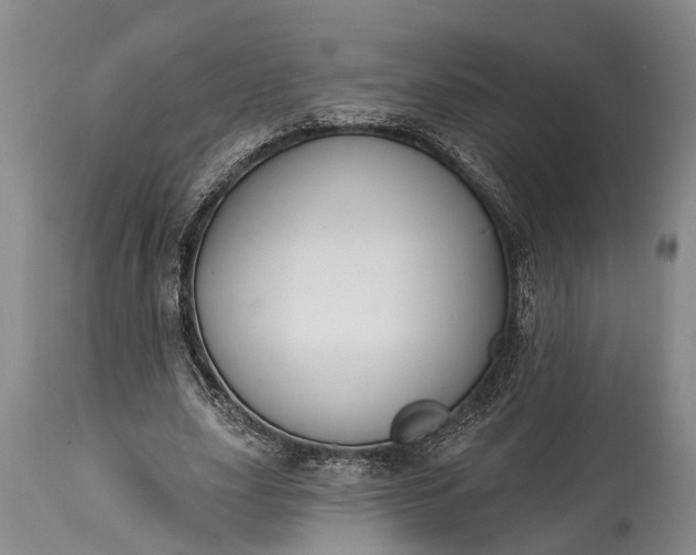 X0000114990631200911091336