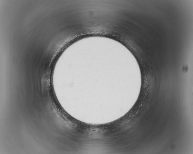 X0000114990632200911091336