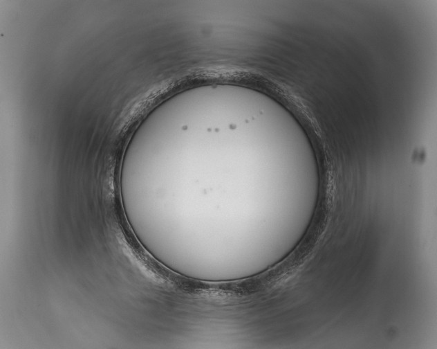 X0000114990633200911091336
