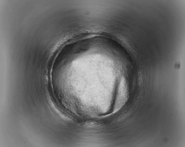 X0000114990634200911091336