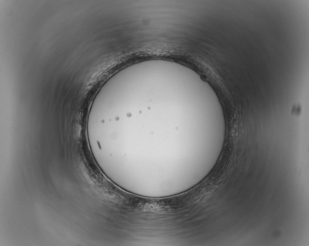 X0000114990635200911091336