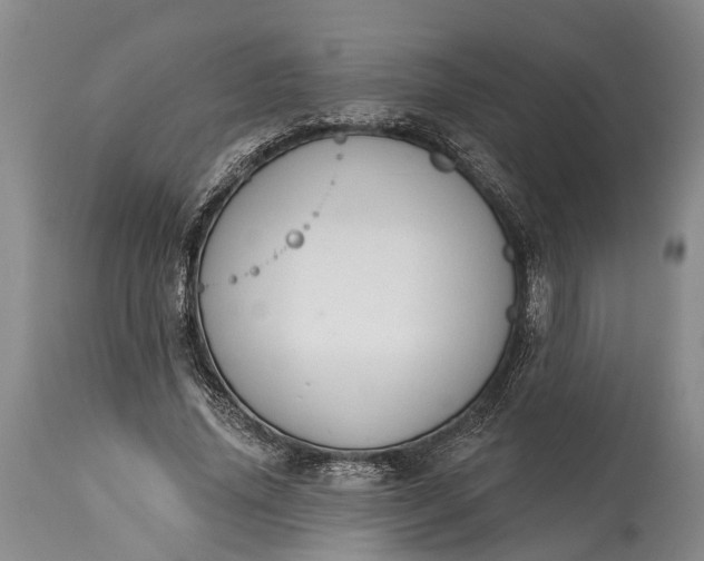 X0000114990636200911091336