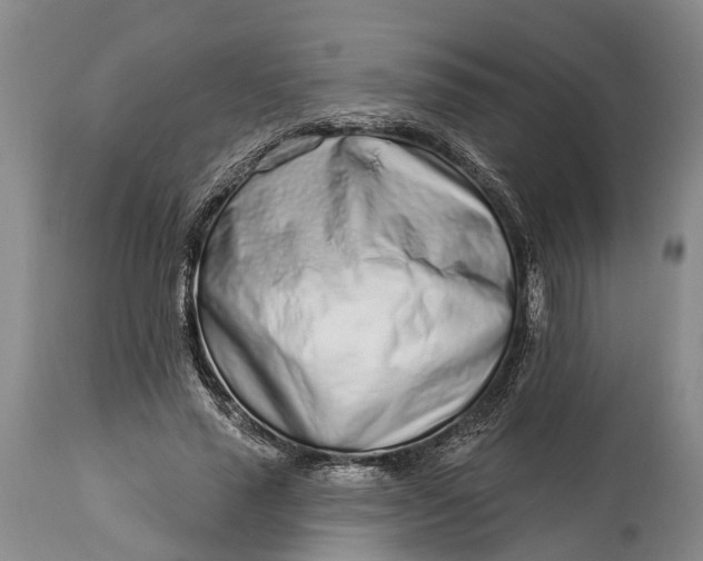X0000114990637200911091336