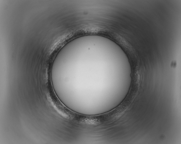 X0000114990638200911091336