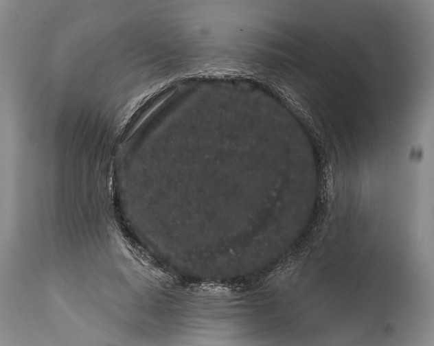X0000114990640200911091336