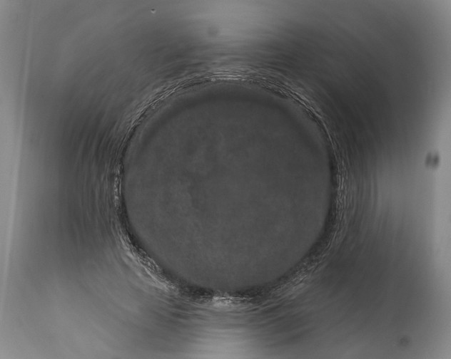 X0000114990641200911091336