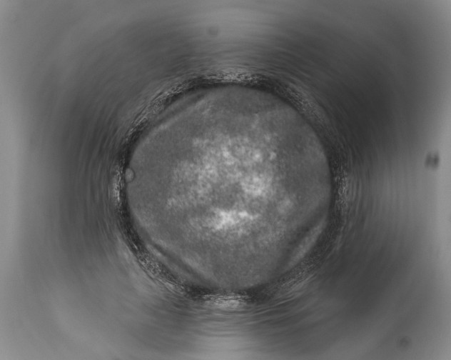 X0000114990643200911091336