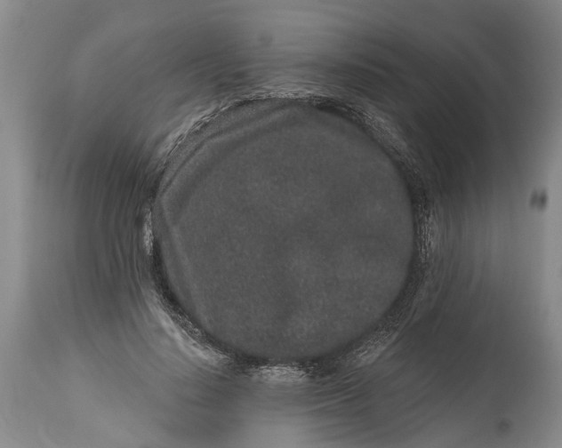 X0000114990644200911091336