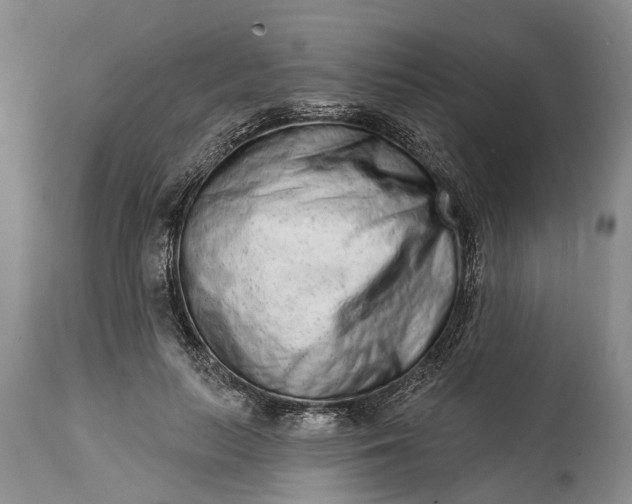X0000114990647200911091336