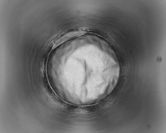 X0000114990648200911091336